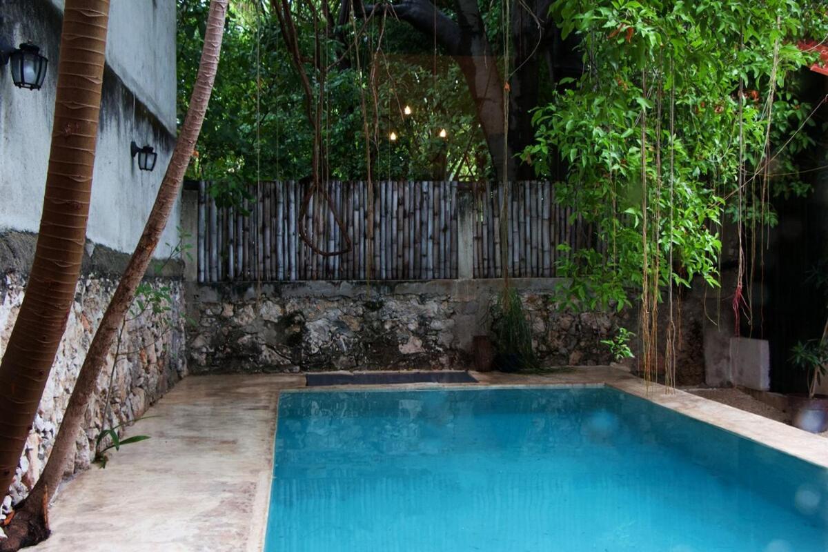 Oasis With Natural Pool In The Heart Of Mérida