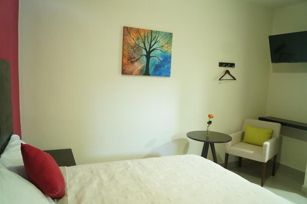 Hotel Casa Palomino 3*