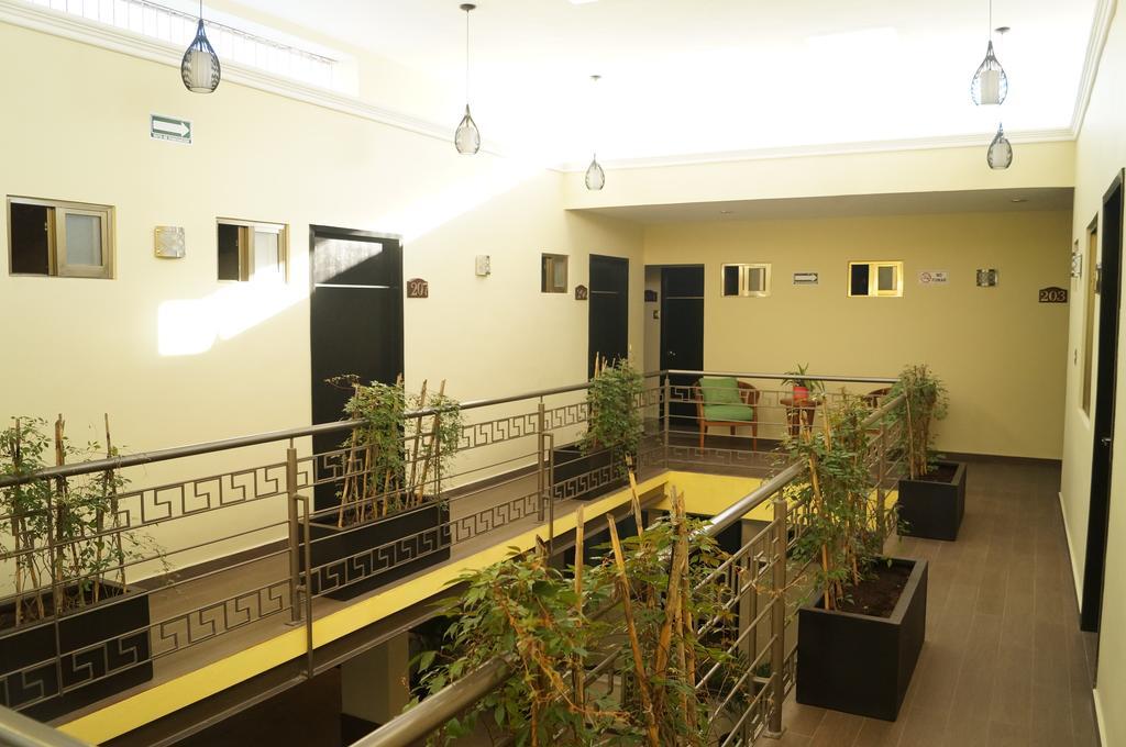 Casa Palomino 3*