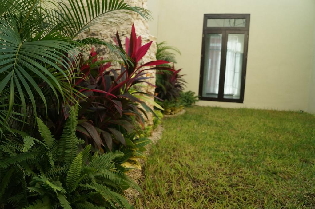 Casa Palomino Merida