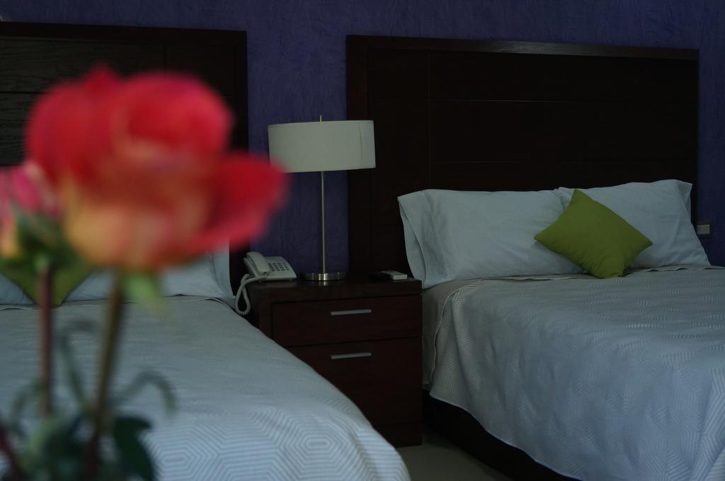 Casa Palomino Hotel Merida