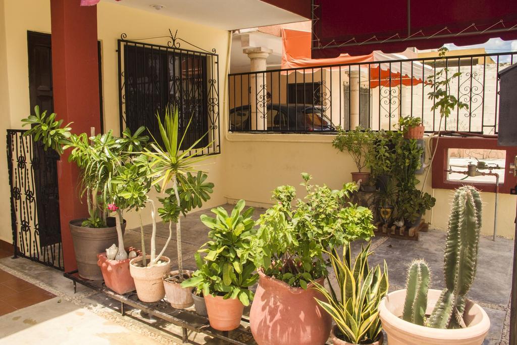 La Casa Del Chac *