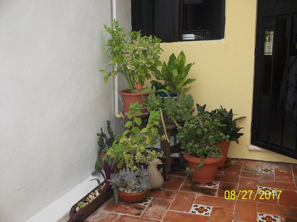 La Casa Del Chac * Merida