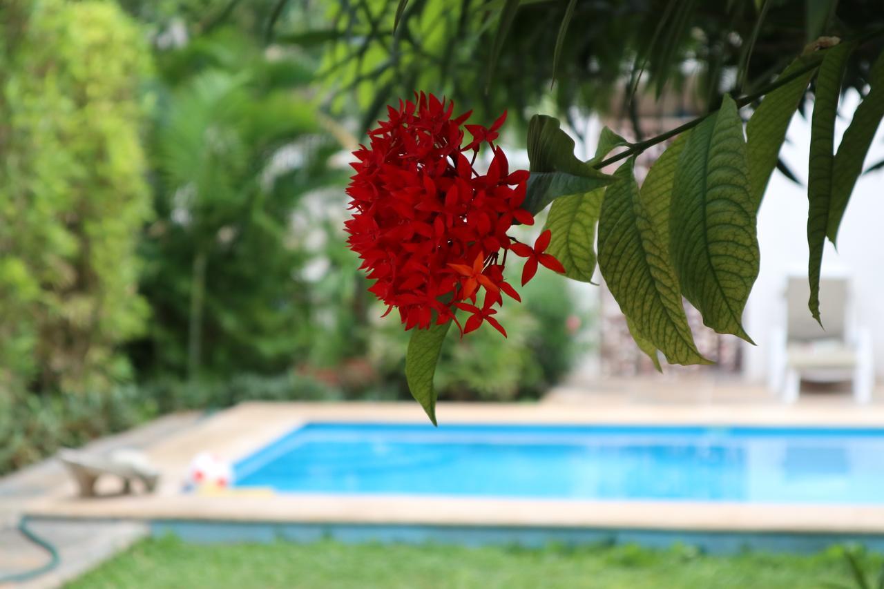 Bed and breakfast Aries Y Libra 3*