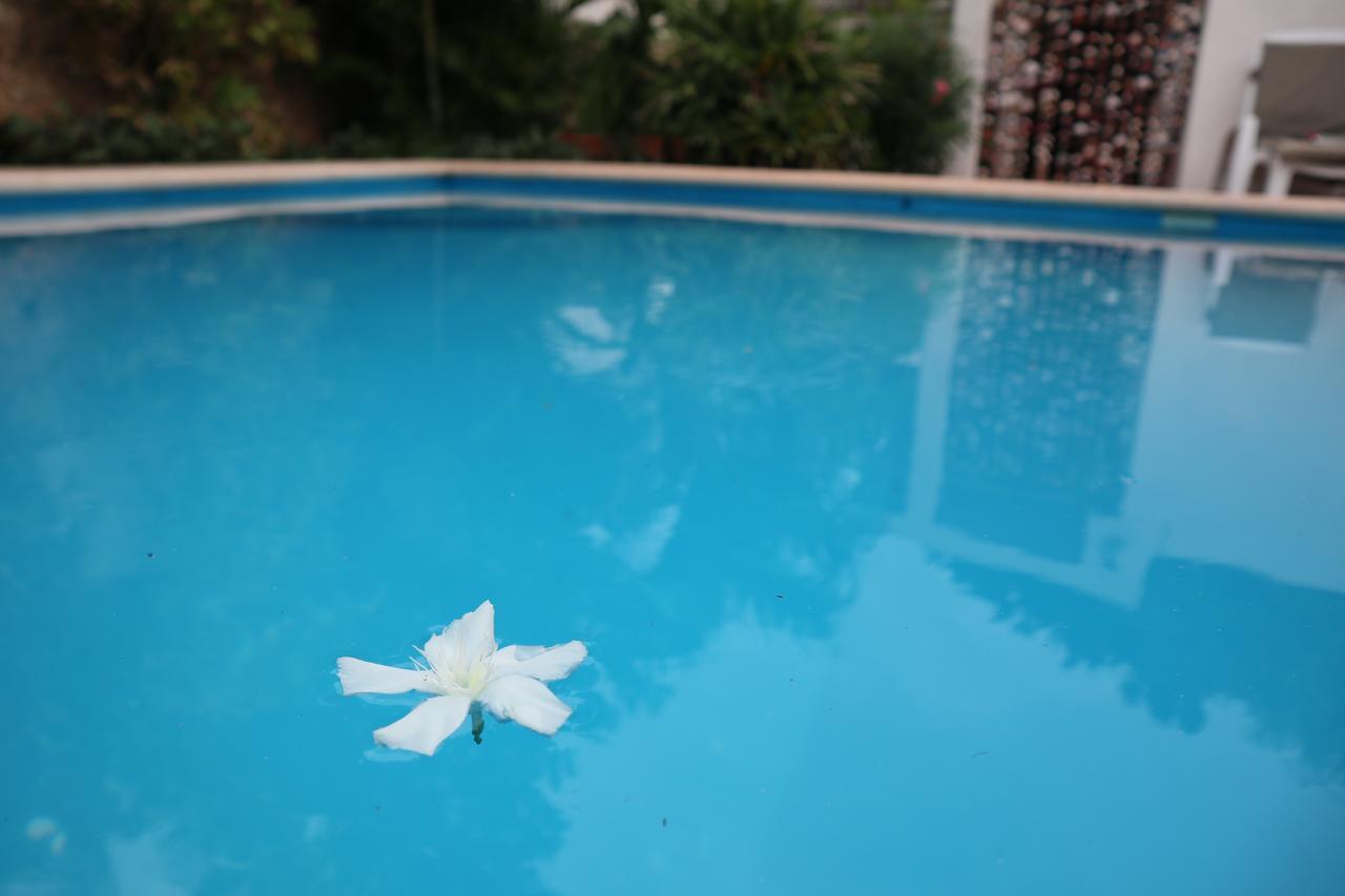 Aries Y Libra Bed and breakfast