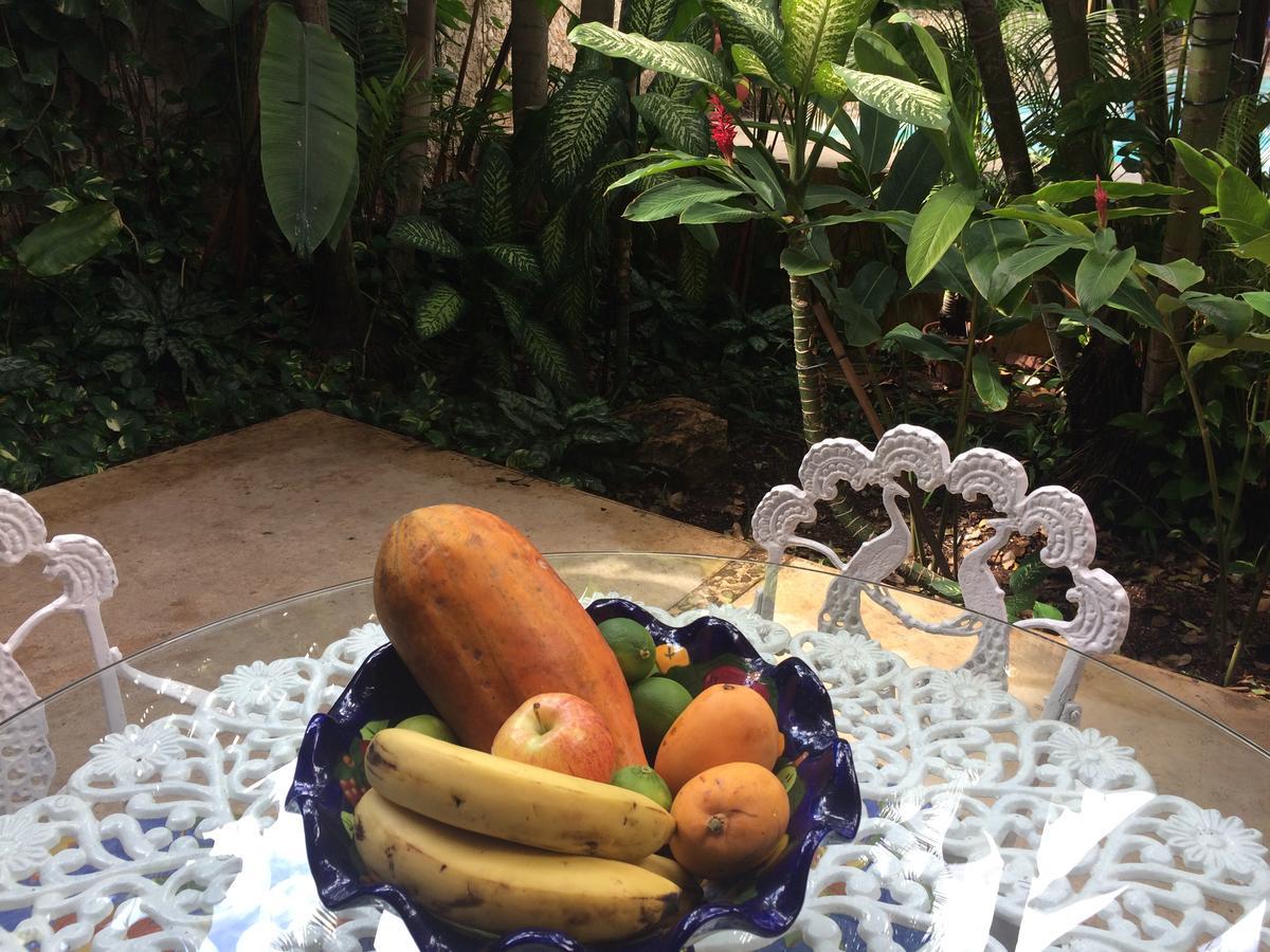 Casa Tres Colibries Bed and breakfast *