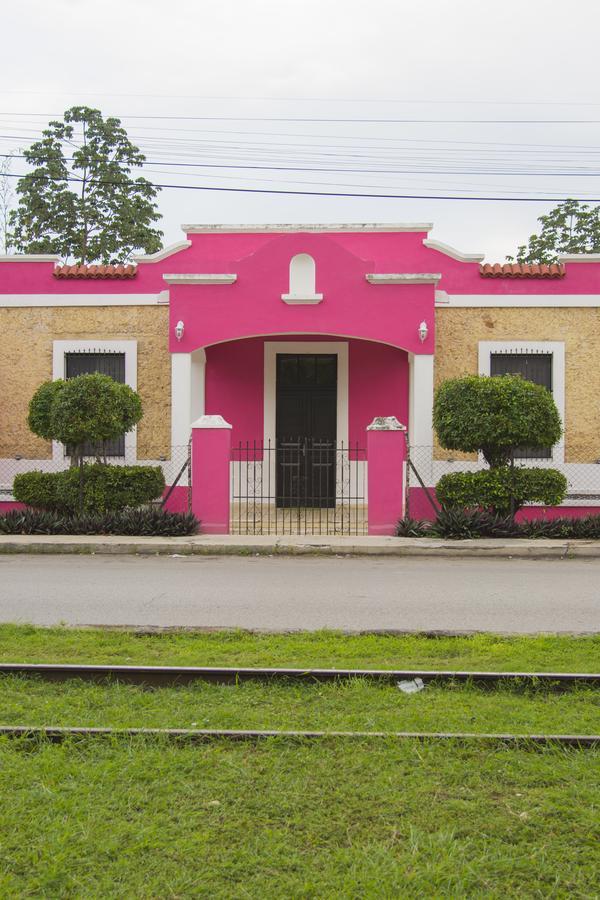 Rosa Mexicano Bed and breakfast