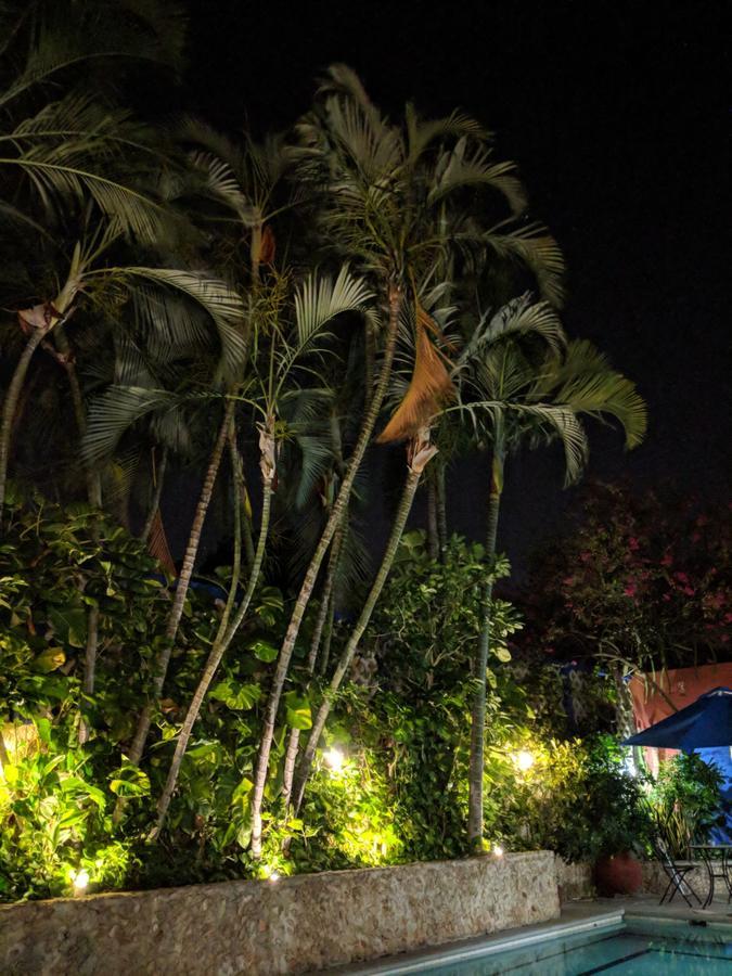 Casa Tres Colibries Bed and breakfast Mérida