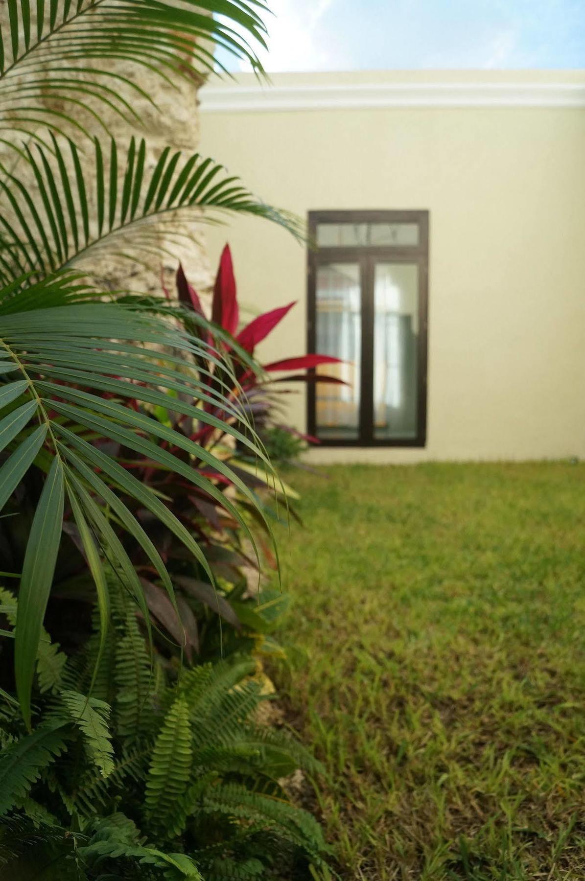 Casa Palomino Merida