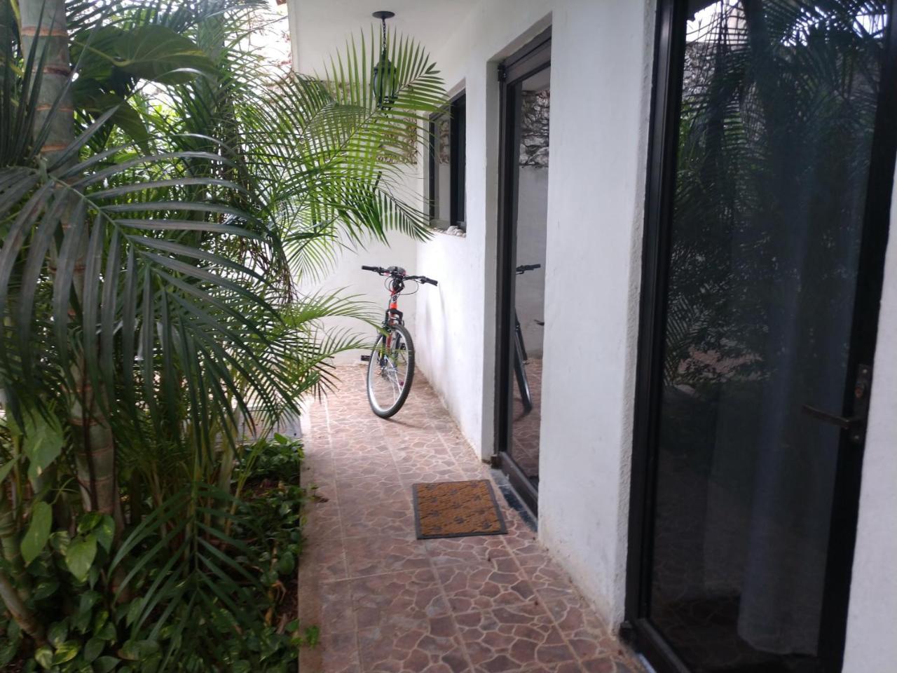 Apartment Punto Checo