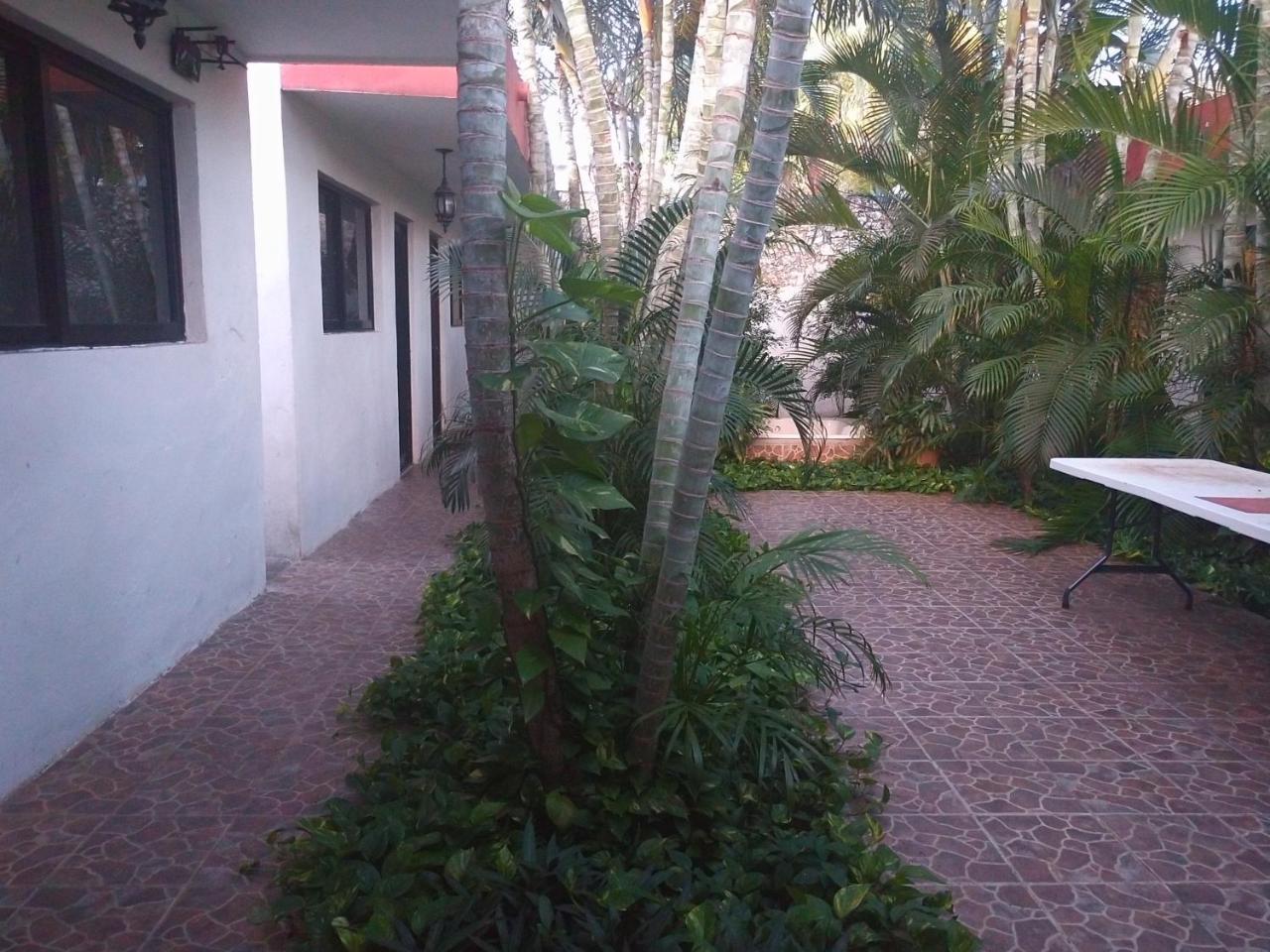 Apartment Punto Checo *
