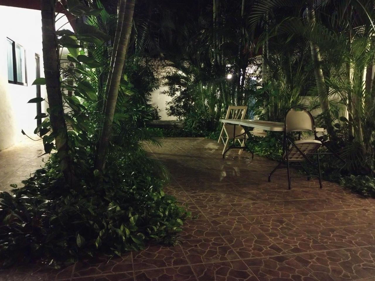 Apartment Punto Checo