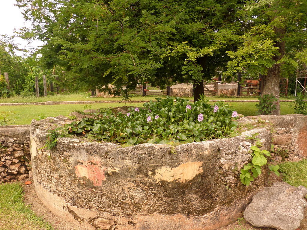 Hacienda Tepich Casa Vargas 5*
