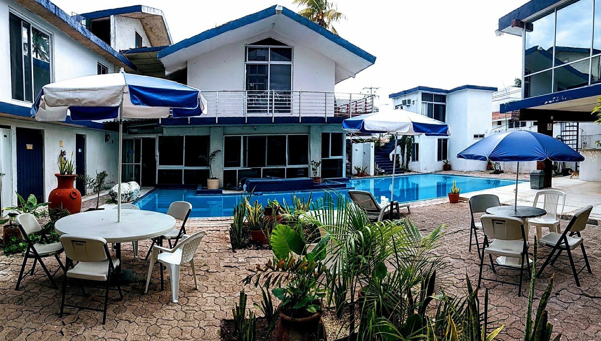 Campestre