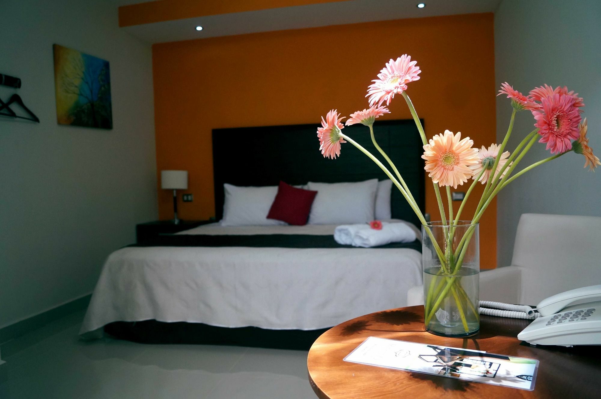 Casa Palomino 3*