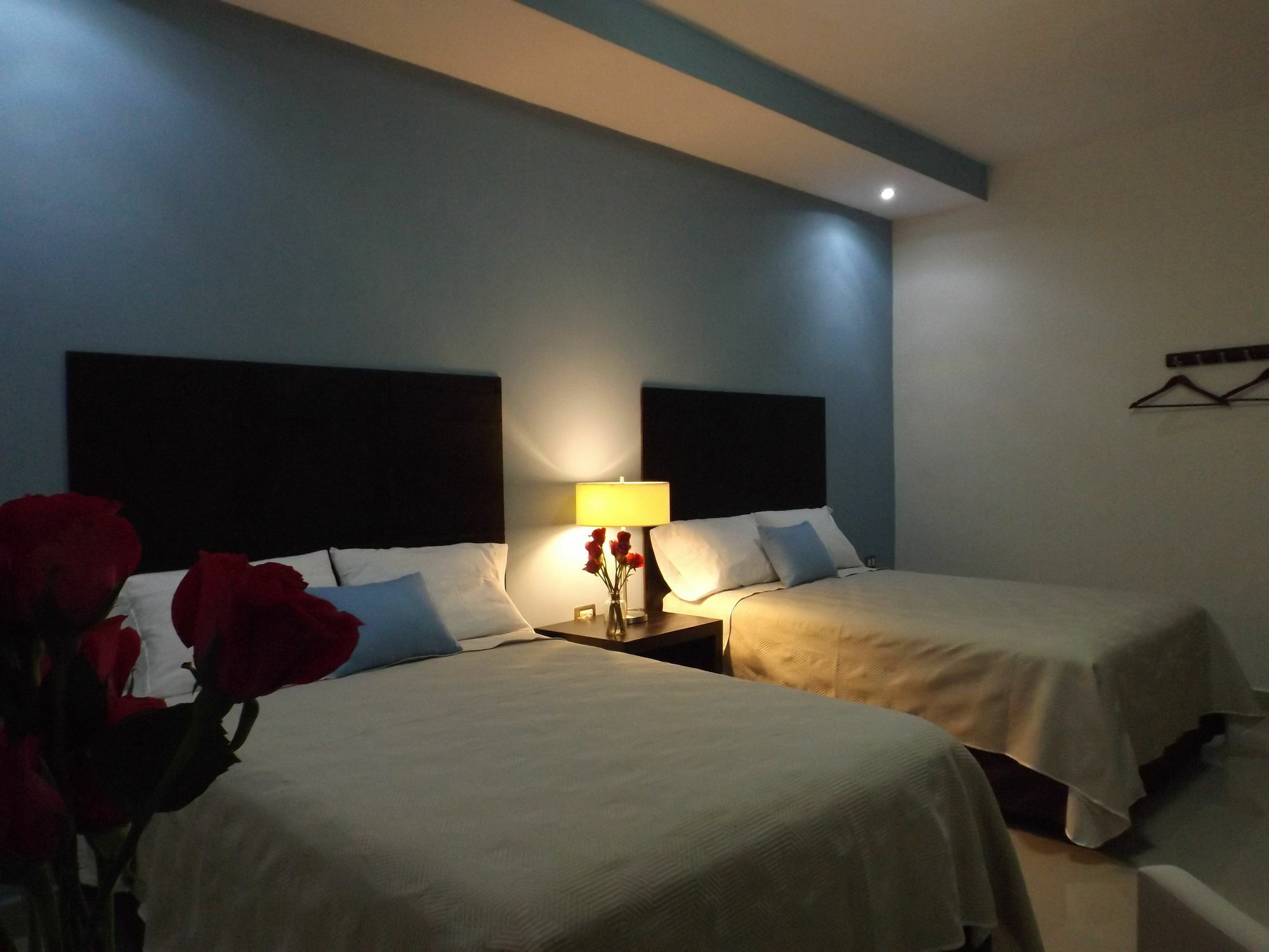Casa Palomino Hotel