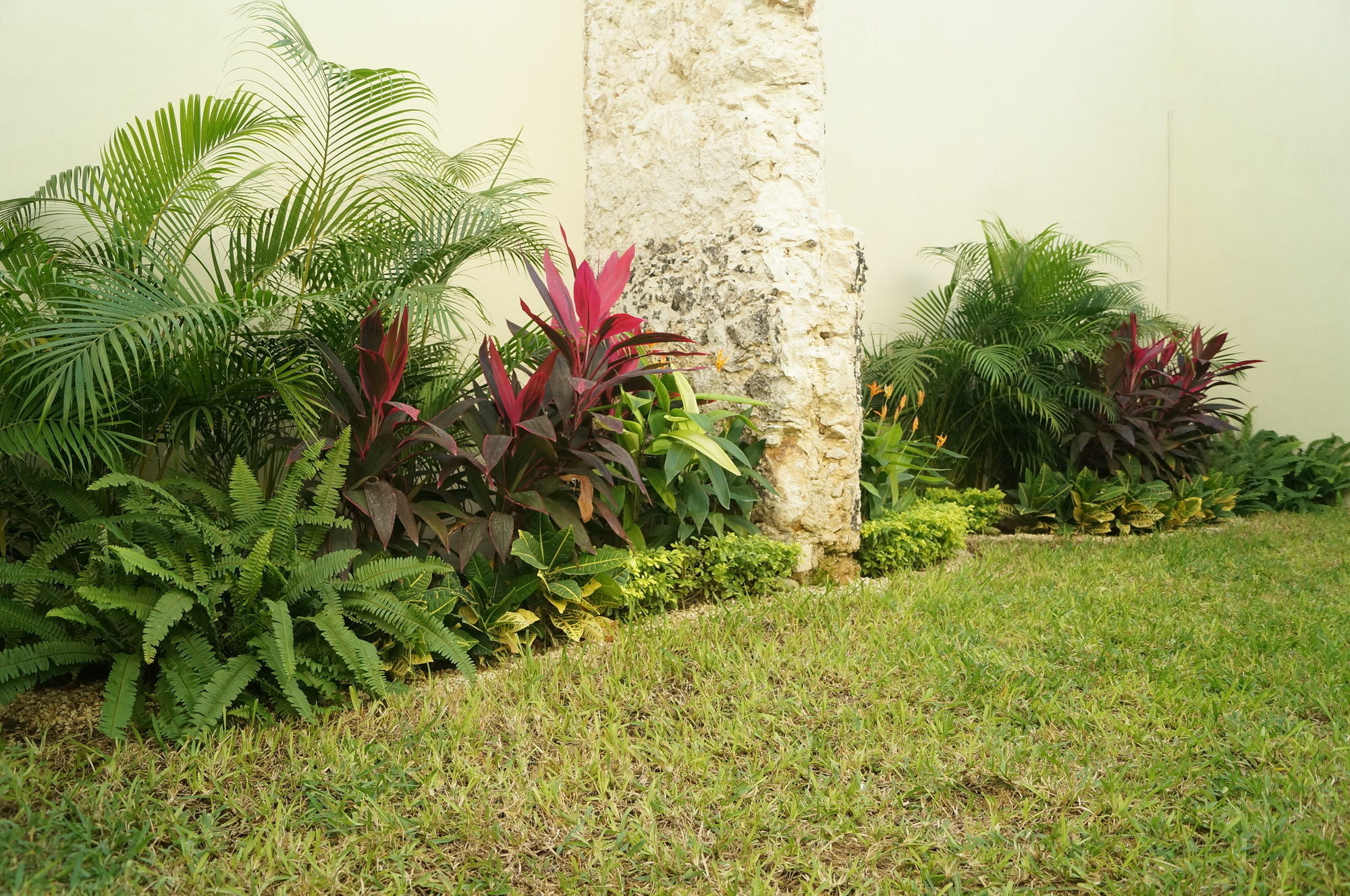 Hotel Casa Palomino