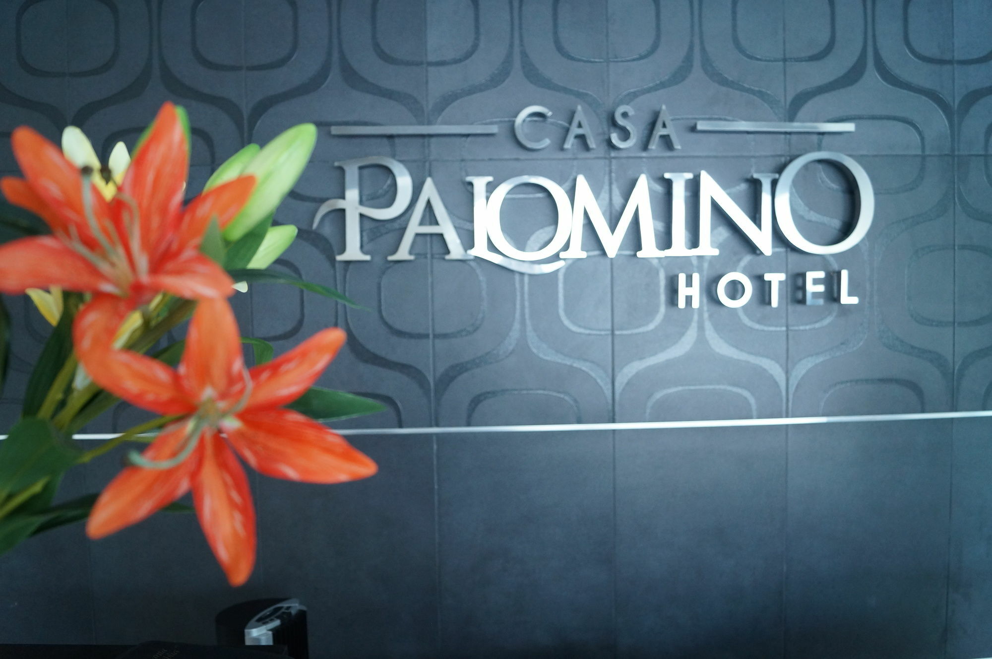 Casa Palomino 3*