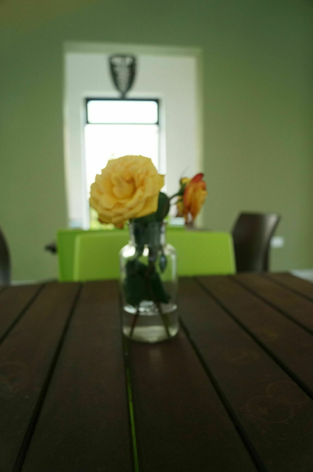 Casa Palomino Hotel 3*