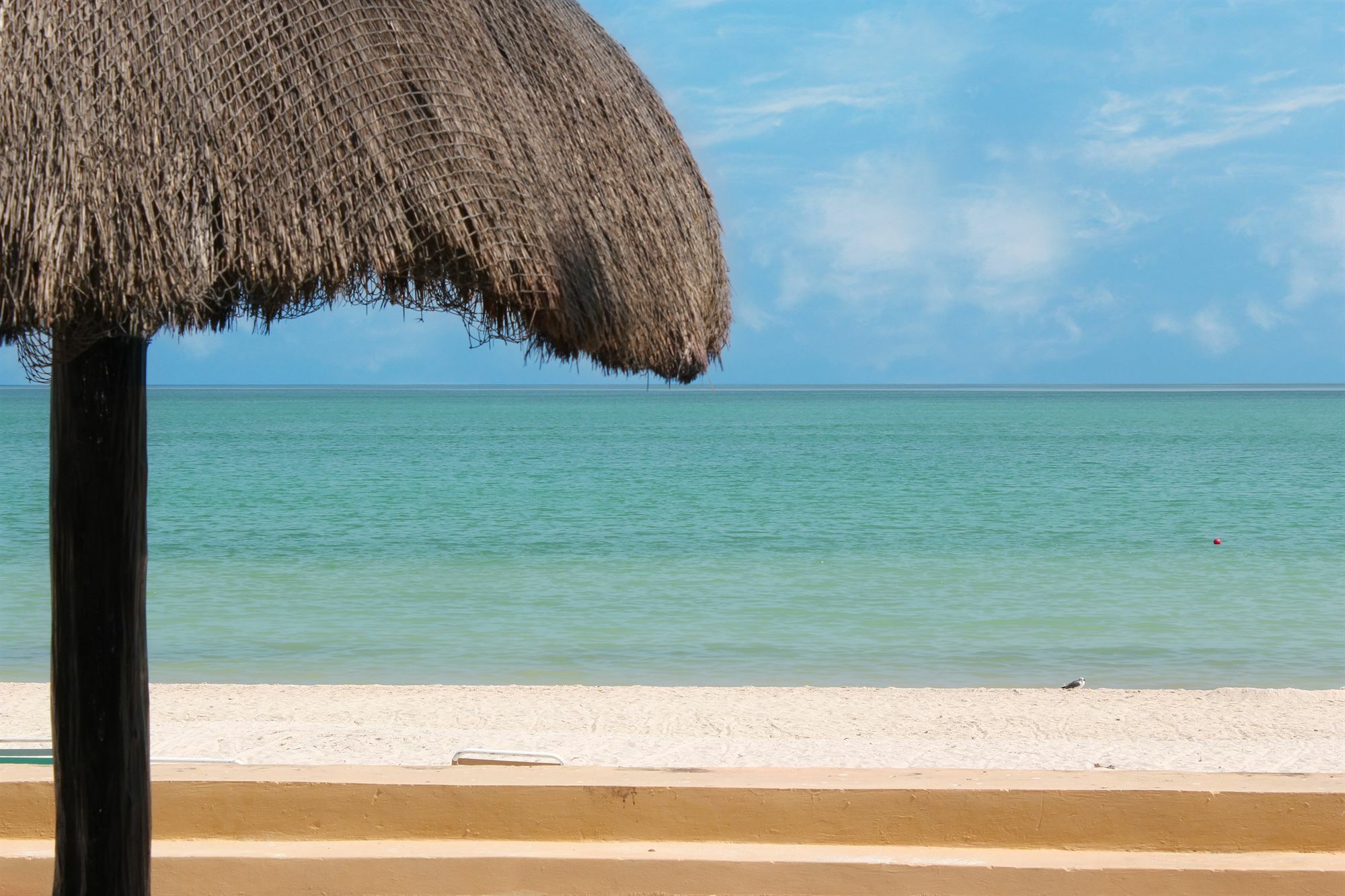Reef Yucatan & Convention Center 3*