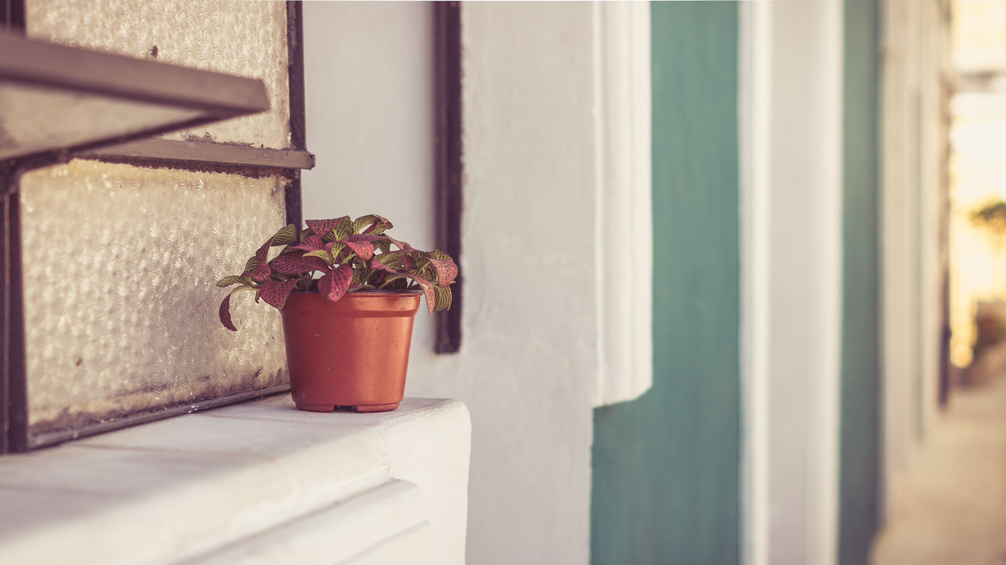 Casa Jade - Downtown (adults Only) 2*