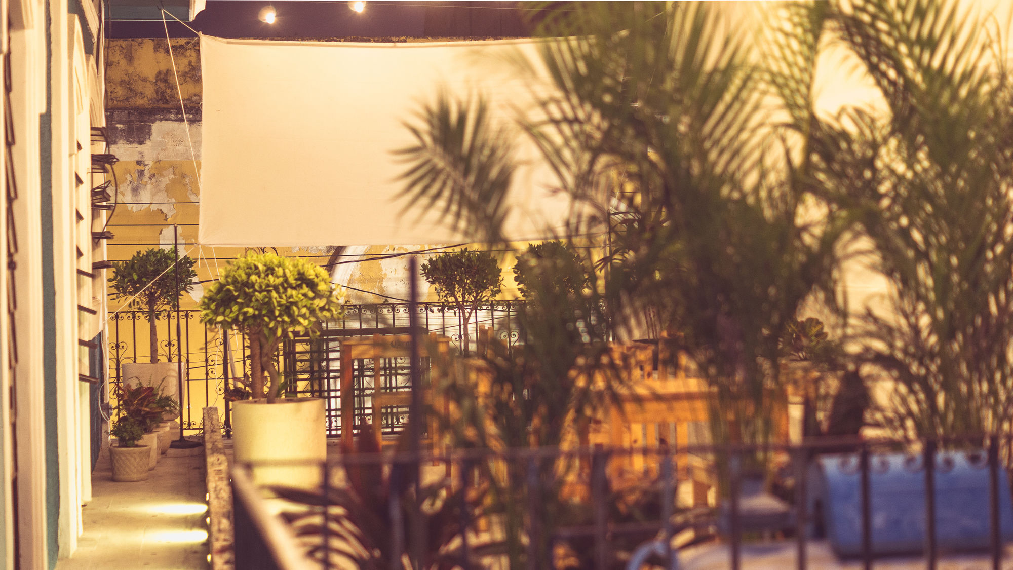 Casa Jade - Downtown (adults Only) Pensión 2*