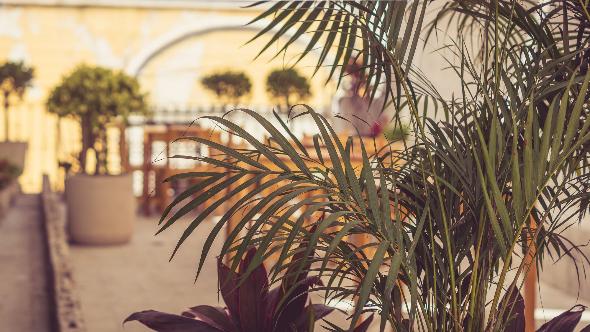 Casa Jade - Downtown (adults Only) 2*