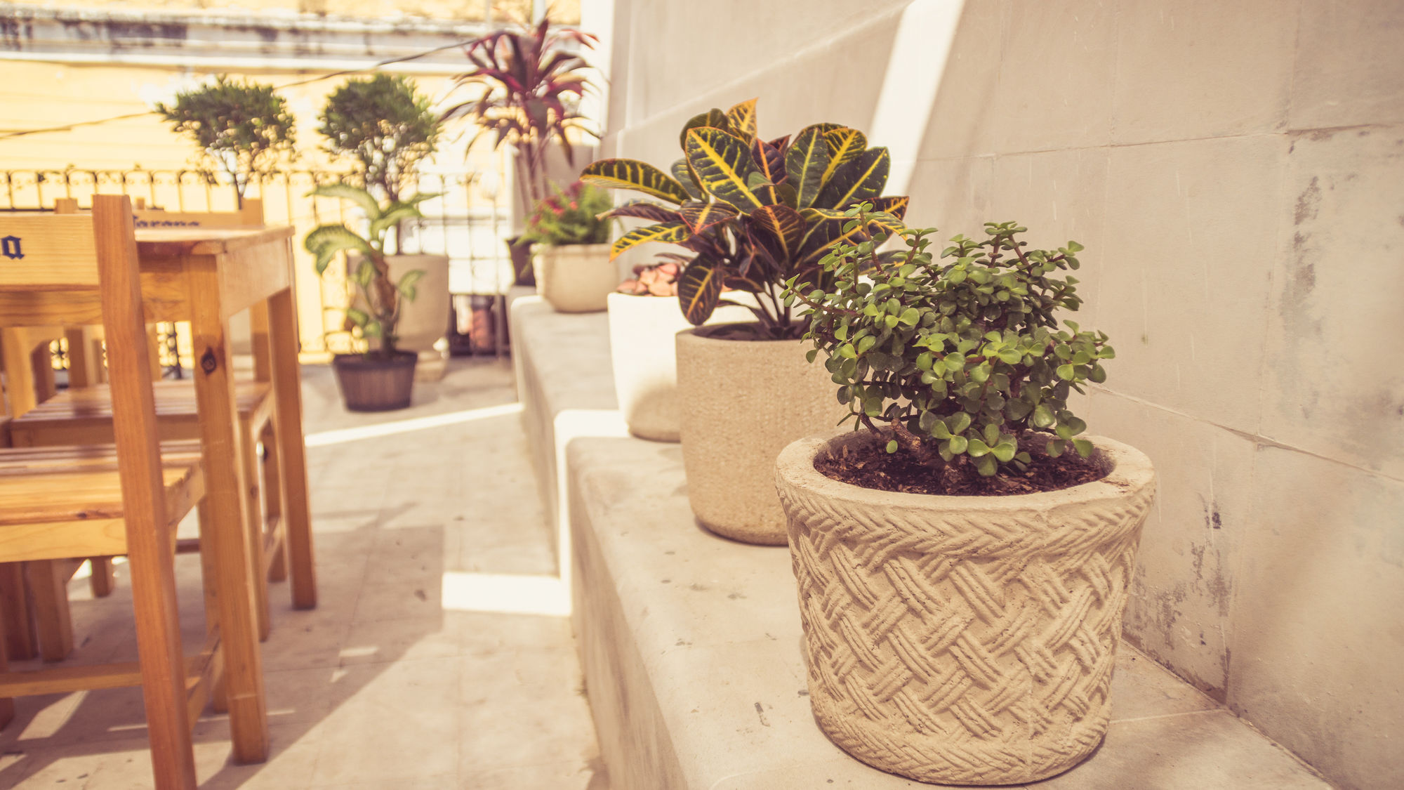 Pensión Casa Jade - Downtown (adults Only) 2*