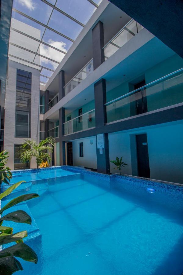 Flamingo 4*