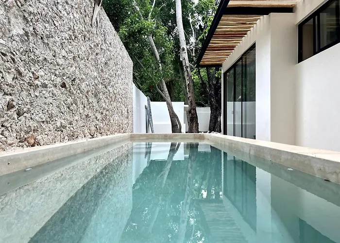 Lux In The Center Of Merida, Swimming Pool