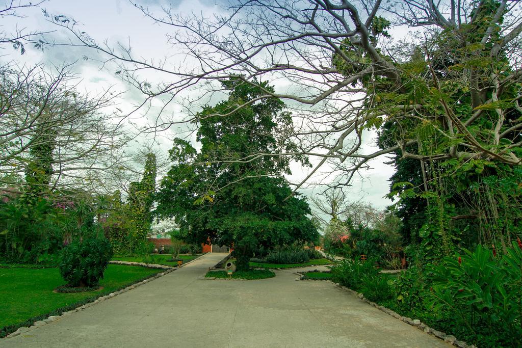 Hacienda Misne Hotel 5*