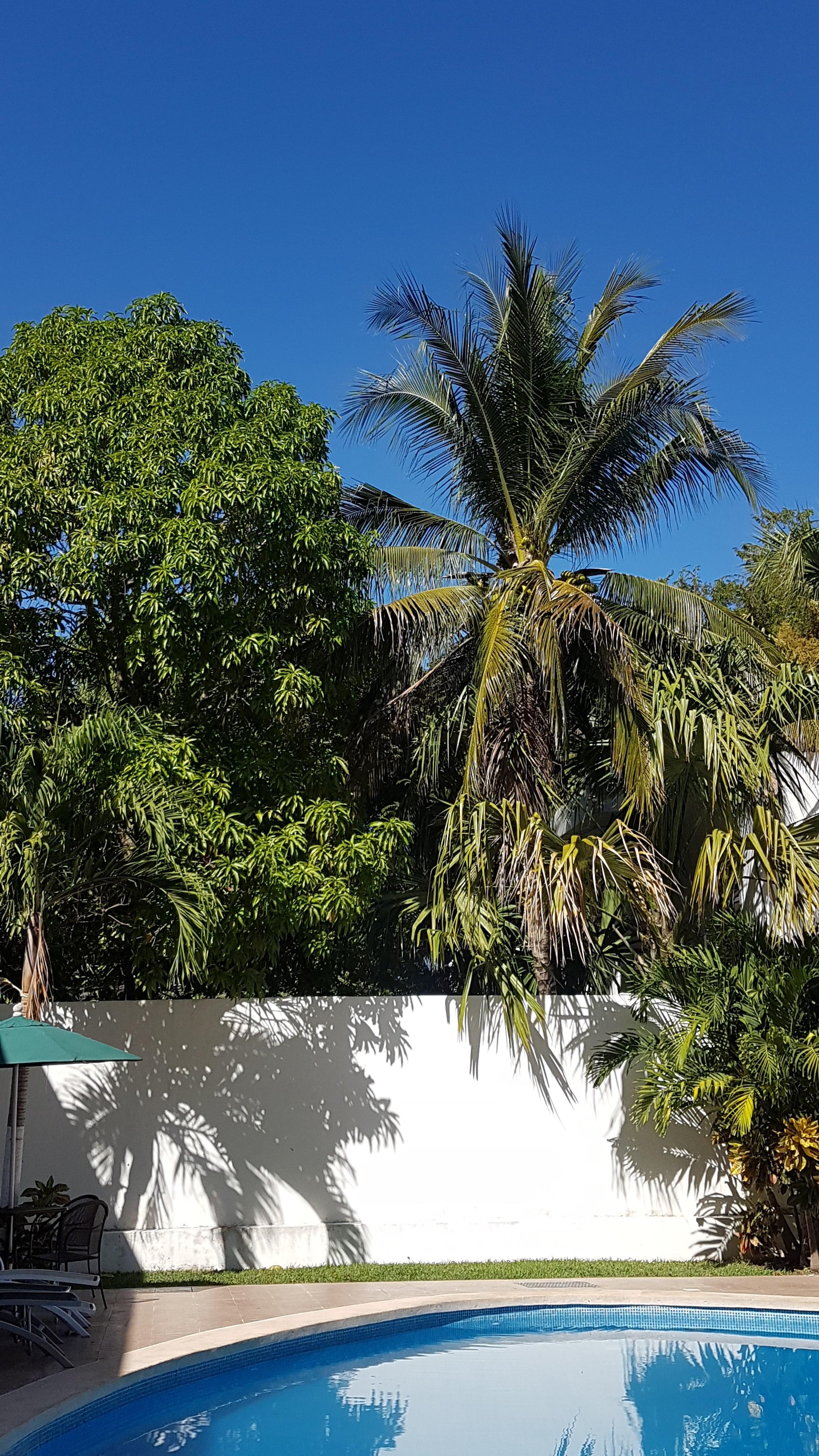 Holly Hotel Mérida