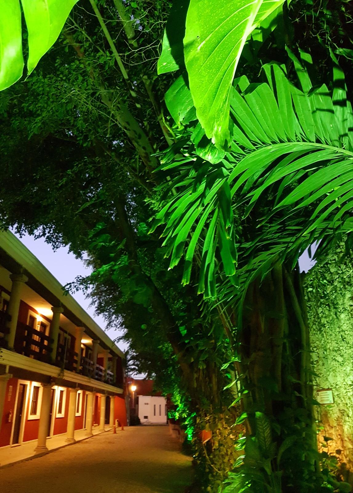 Holly Hotel 4*