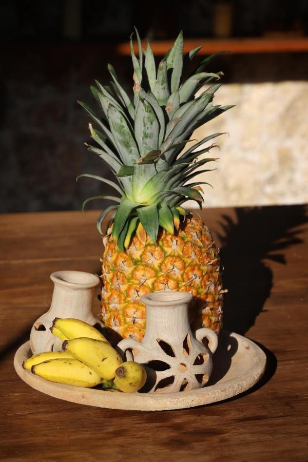 Nuik Casa Tropical Bed & Breakfast Merida