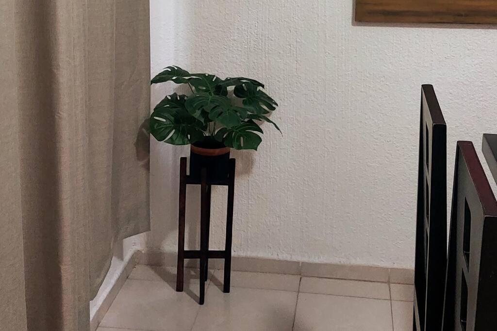Casa En Puesta Del Sol/excelente Ubicación/2 Hab/wifi/netflix/super Comoda