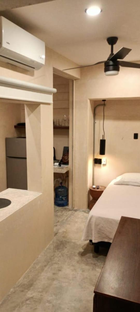 Mid-498 Centro Apartamento *