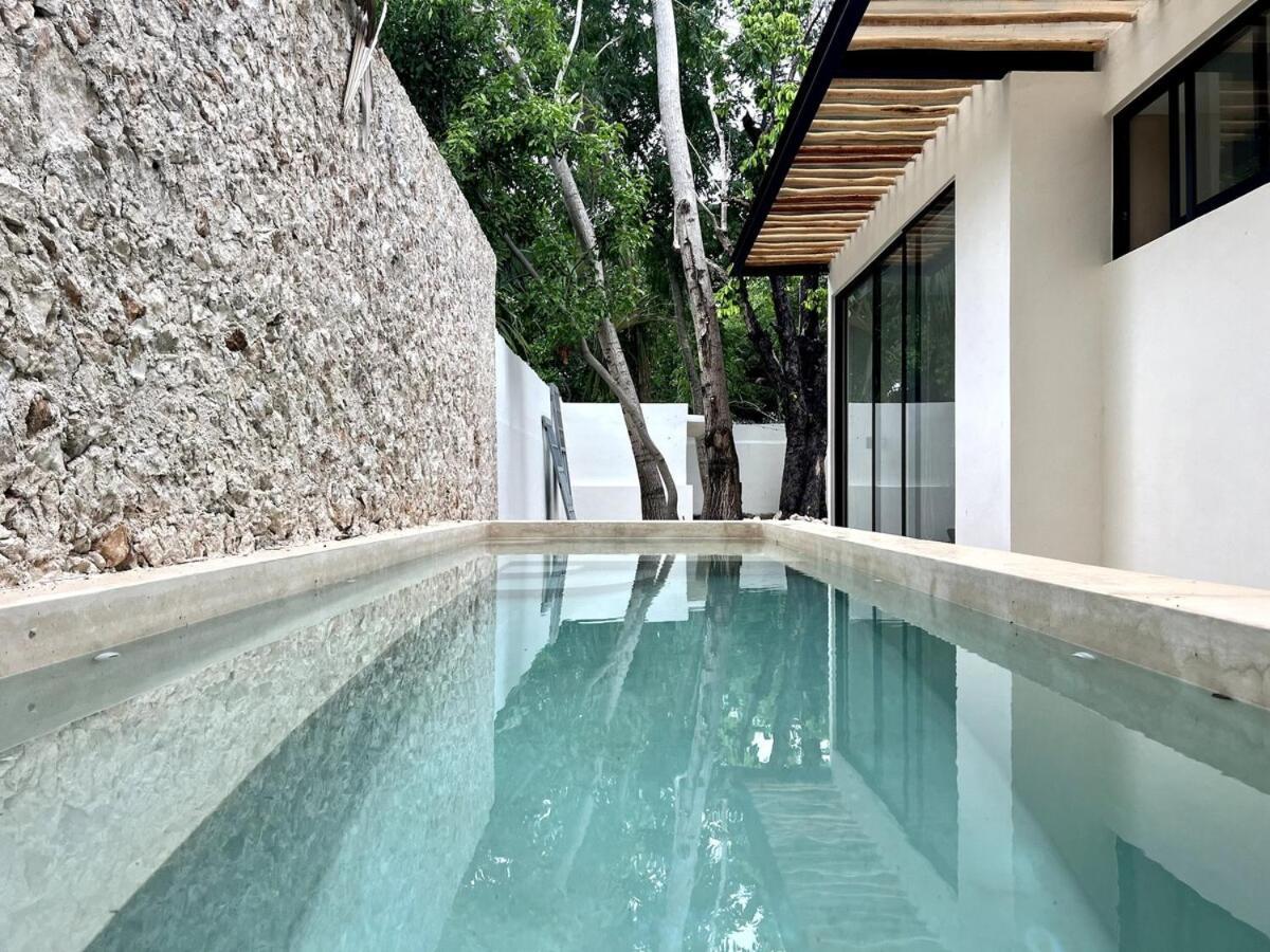 Lux In The Center Of Merida, Swimming Pool