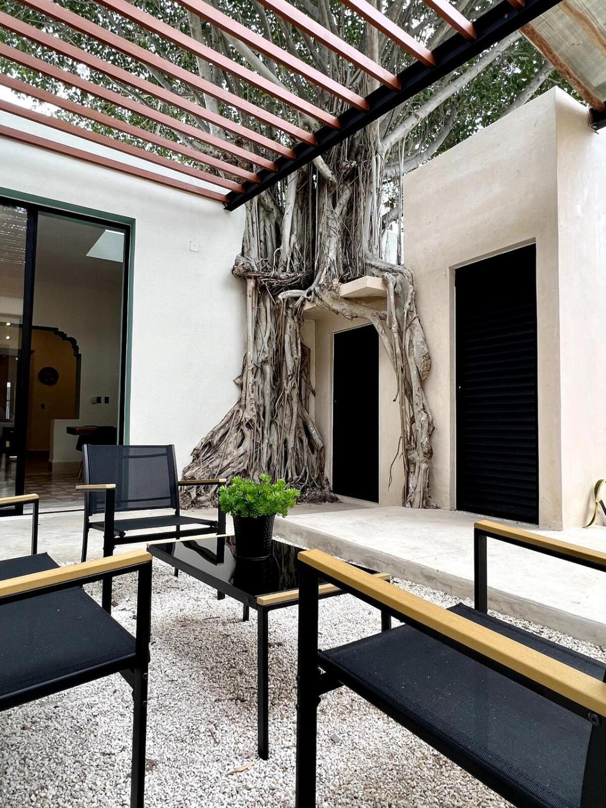 Villa Lux In The Center Of Merida, Swimming Pool