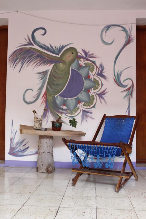 Hostel Akasha Merida