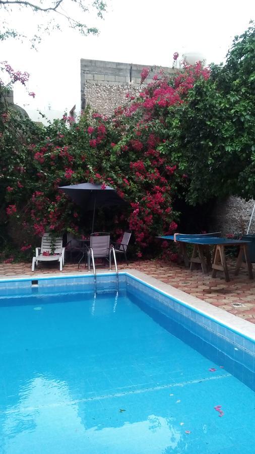 Yucatan Vista Guest house Merida