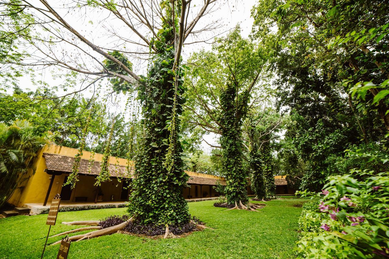 Hacienda Misne