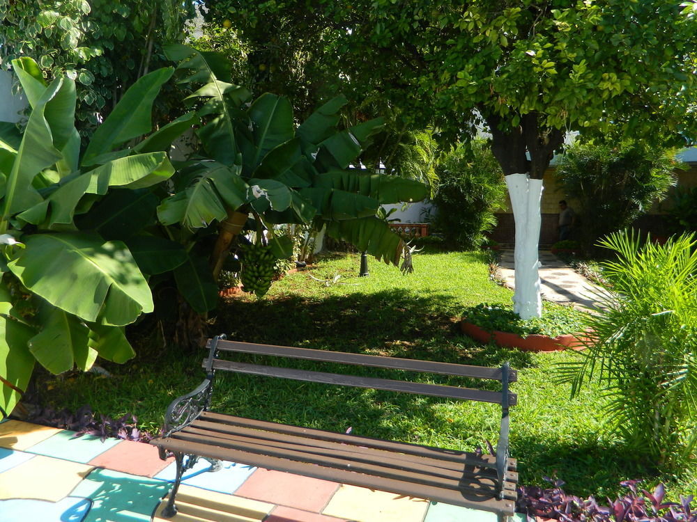 Colon 3* Mérida