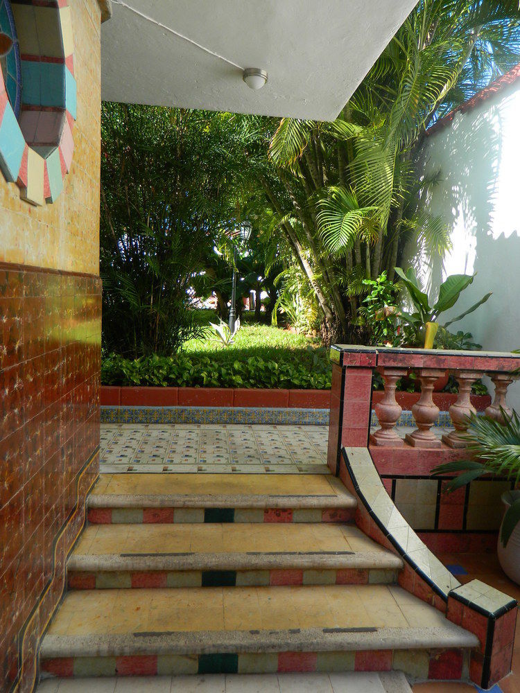 Colon 3*